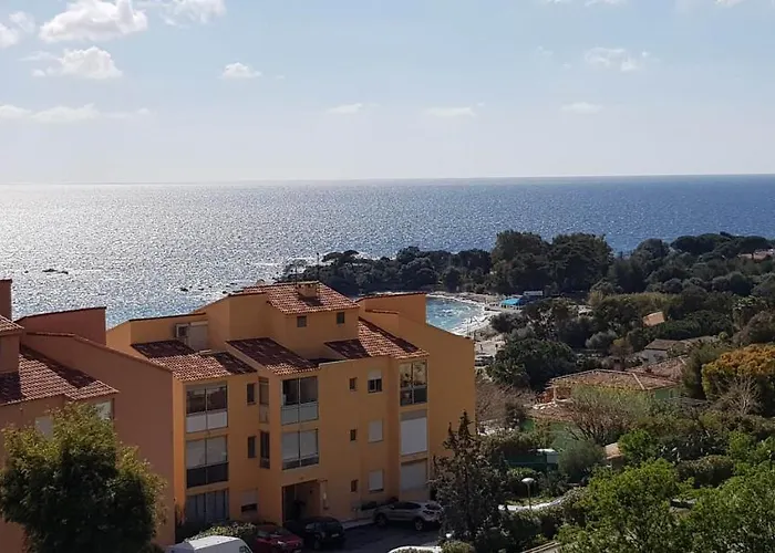 T1 Vue Bord De Ajaccio (Corsica)