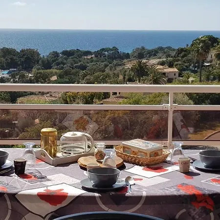 T1 Vue Bord De * Ajaccio (Corsica)