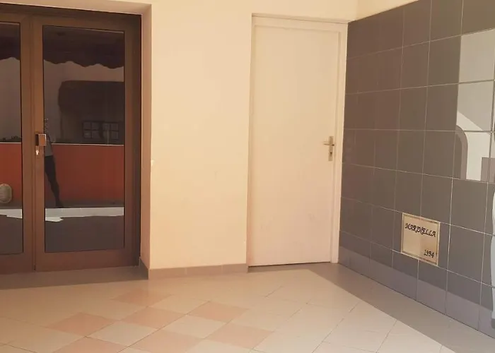 T1 Vue Bord De Ajaccio (Corsica)